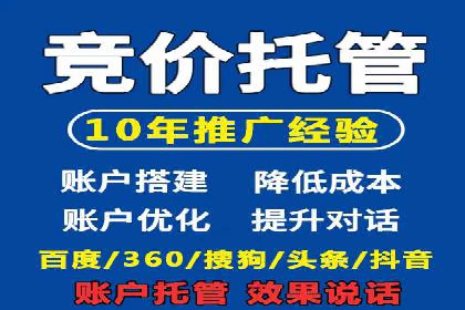 百度品牌专区推广的成效与案例